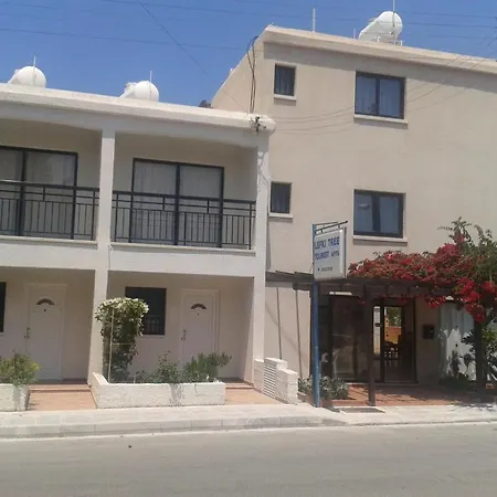 Lefki Tree Tourist * Paphos