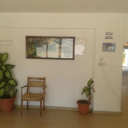 Lefki Tree Tourist * Пафос