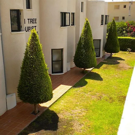 Lefki Tree Tourist Апартаменты *