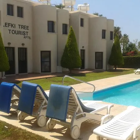Lefki Tree Tourist * Paphos