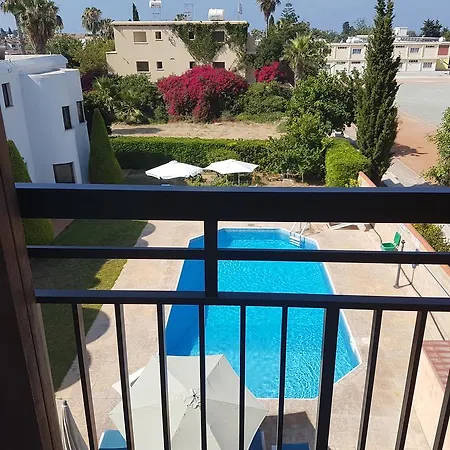 Lefki Tree Tourist Paphos